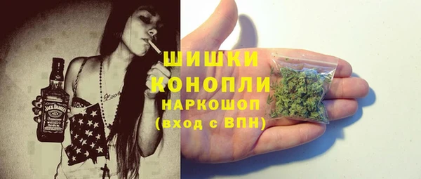 PSILOCYBIN Белокуриха