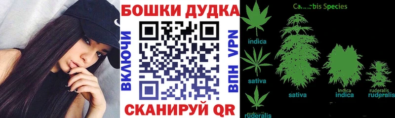 Марихуана тримм  MEGA маркетплейс  Красный Холм  наркотики 